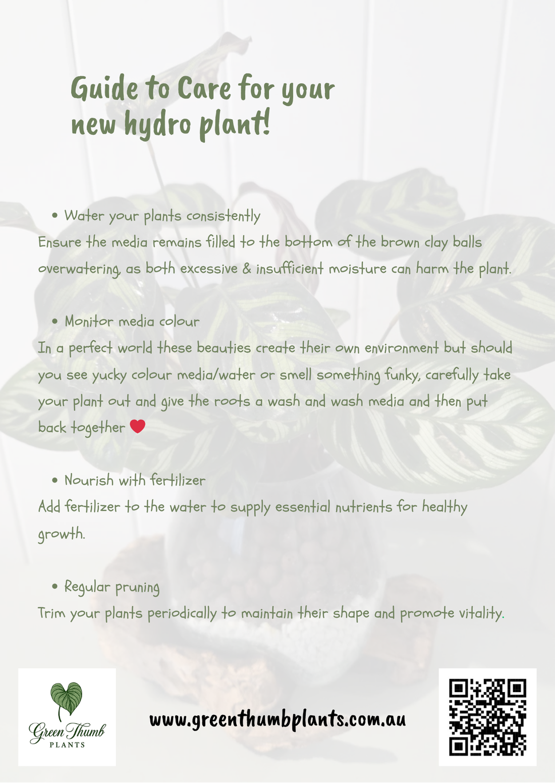 How to care for your hydro plants!