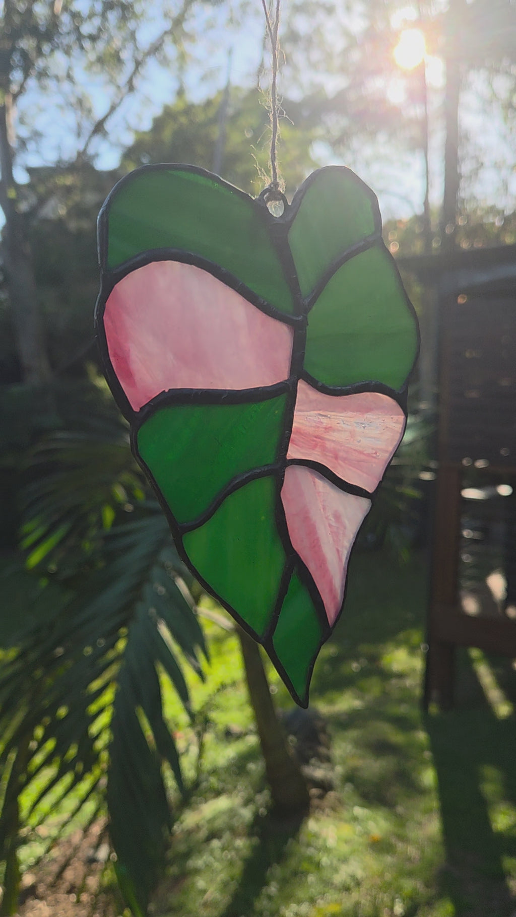 Leadlight / stained glass sun catcher Variegated alocasia leaf handcrafted one off piece 15cm