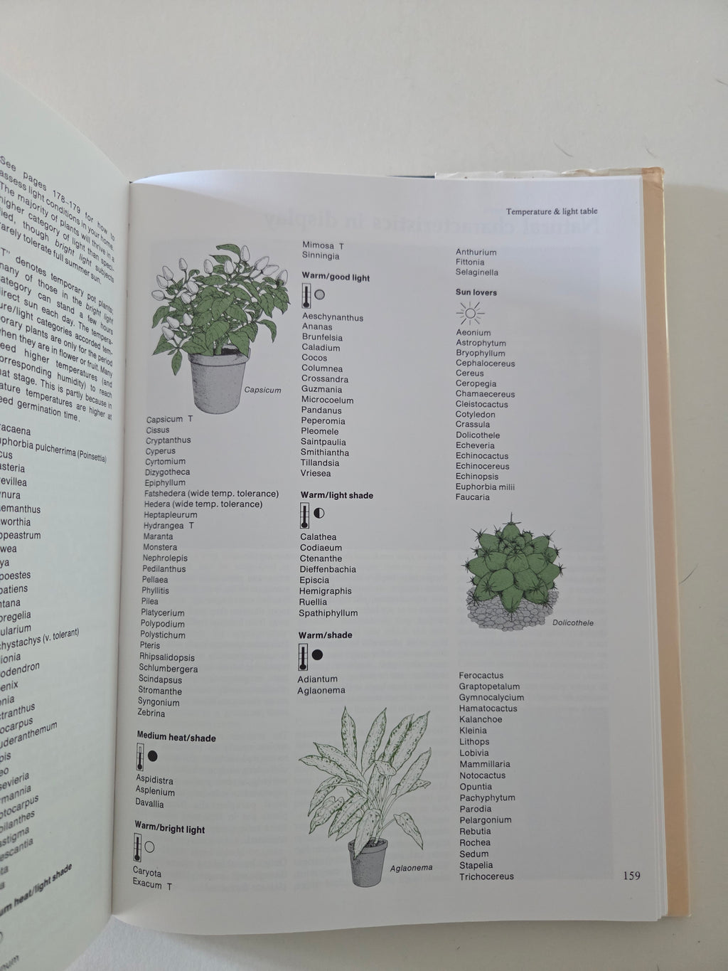 Vintage House Plant Book - The Macmillan World Guide to House Plants