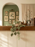 Handmade Crochet plant - chain of hearts