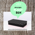 Mystery plant box valued at $90