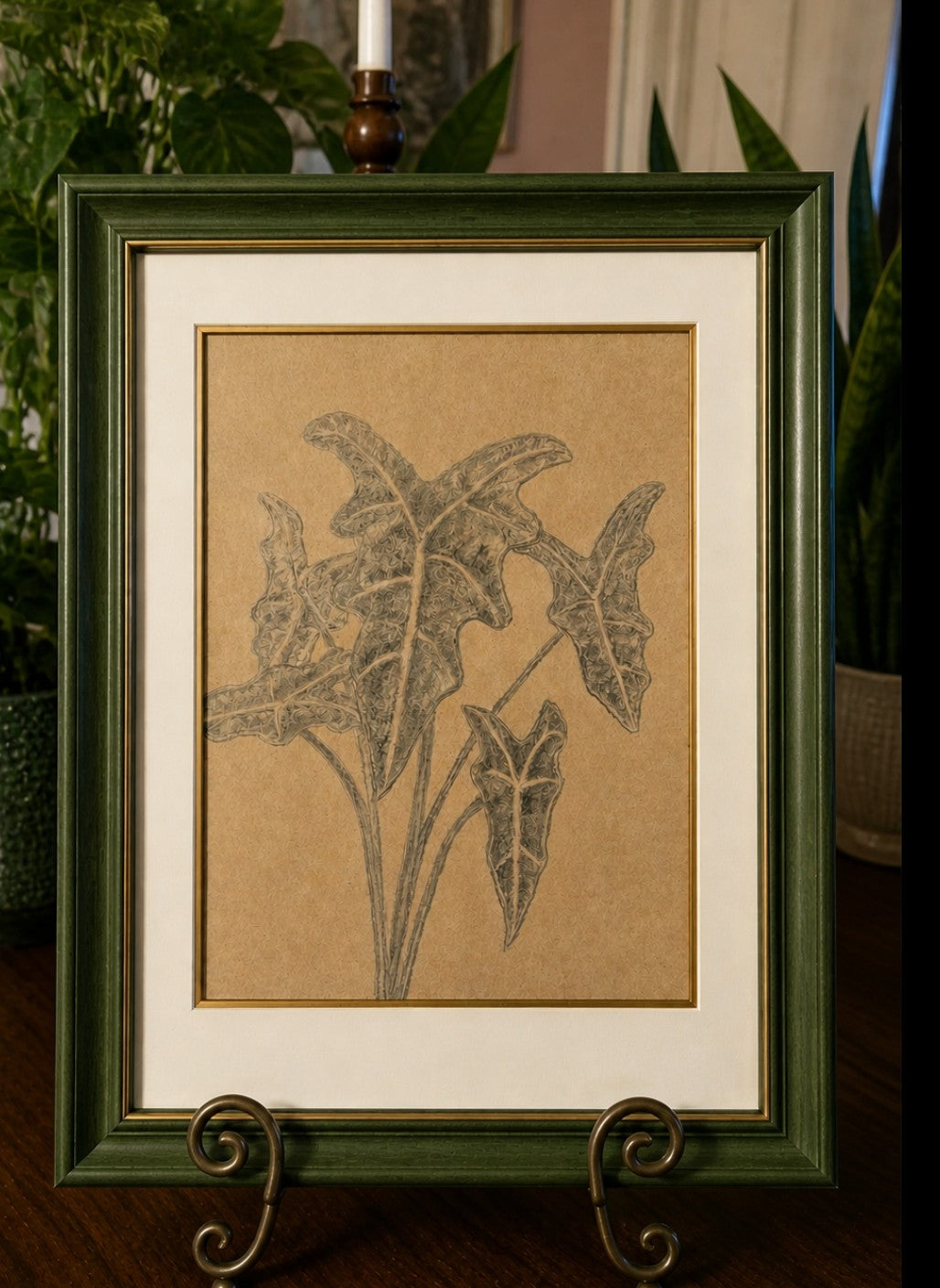 Hand sketched Alocasia Amazonica A4 Original one off
