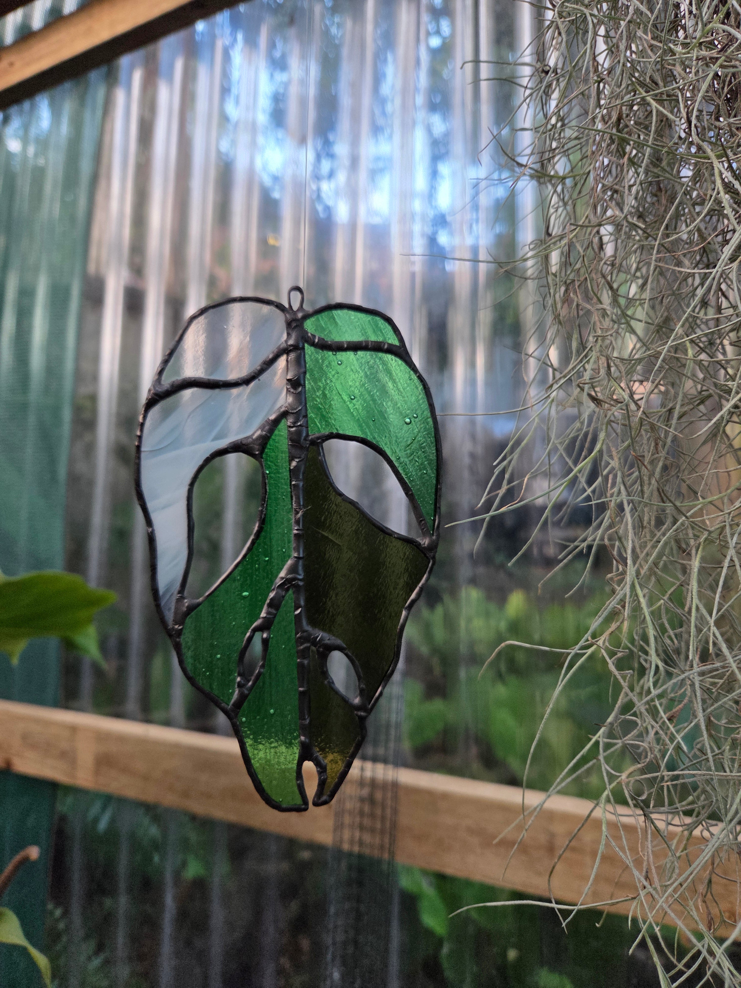 Leadlight / stained glass sun catcher Variegated Monstera adansonii leaf handcrafted one off piece