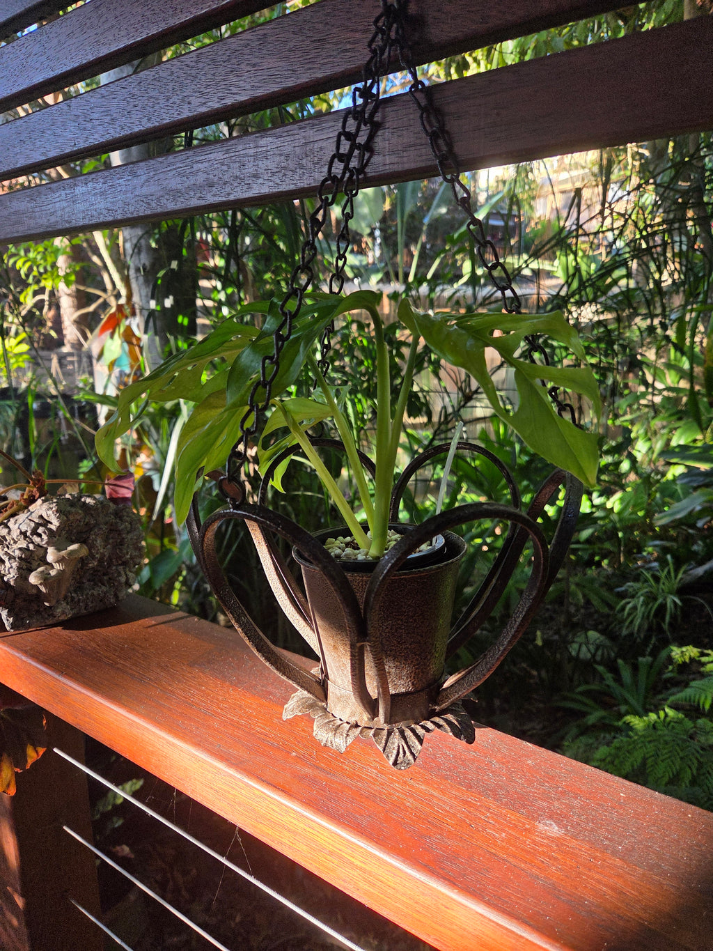Metal hanging planter holds 90mm potted plant