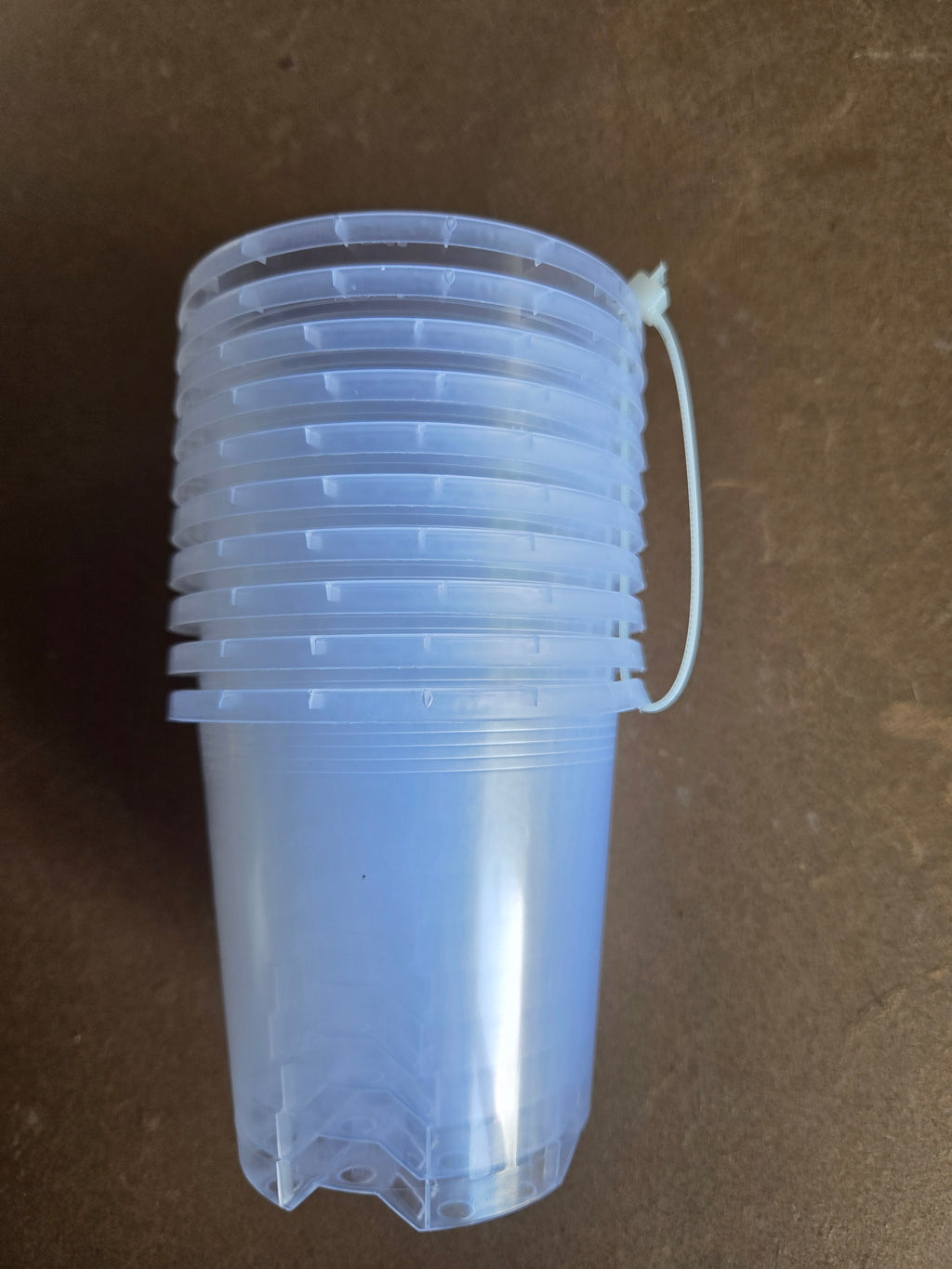 Clear grow pots 90mm - 10 pack HIGH QUALITY