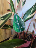 Leadlight stained glass sun catcher plant stake leaf green plant decoration