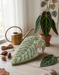 Anthurium Queen leaf cleaning cloth NEW