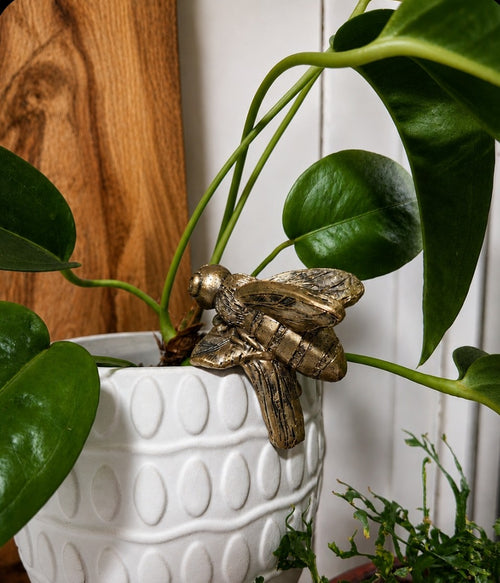 Bumblebee plant buddy pot hanger