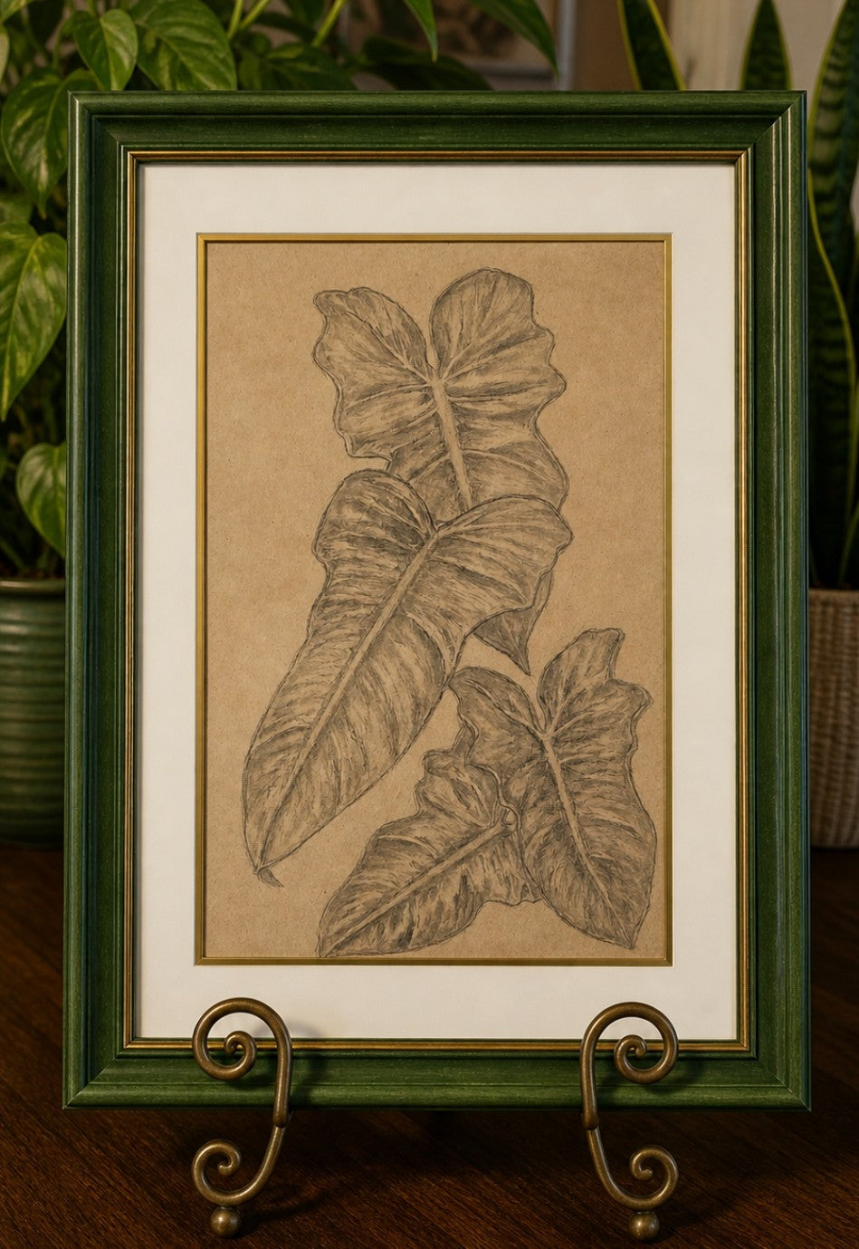 Hand sketched Philodendron Golden Dragon A4 Original one off