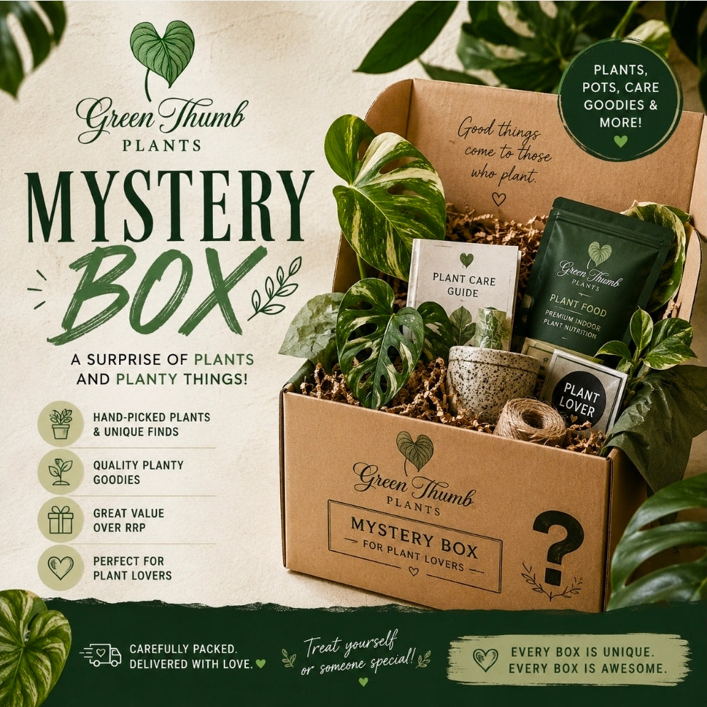 Green Thumb Plants Mystery box valued at $90!