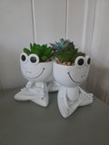 Yoga Frog planty pal - Artificial Plant
