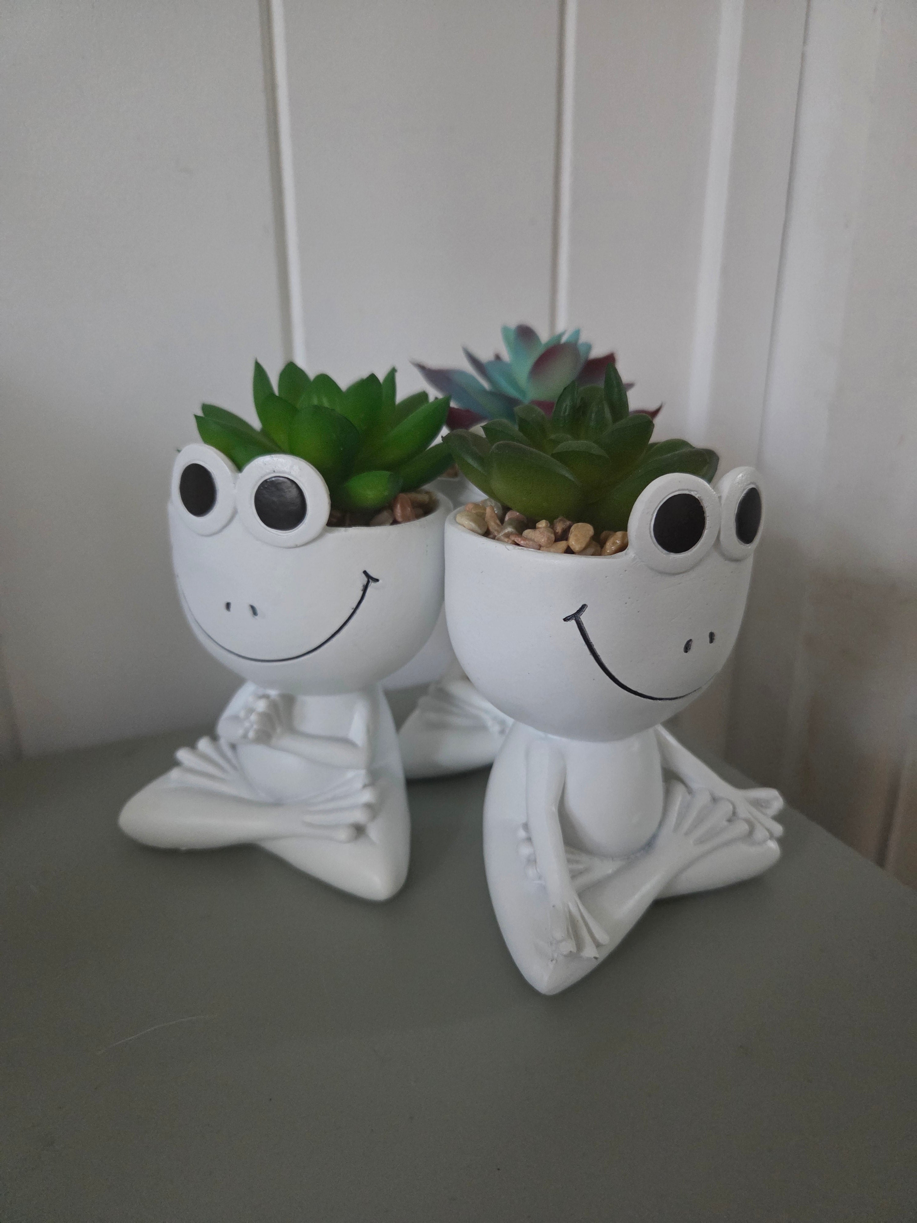 Yoga Frog planty pal - Artificial Plant
