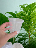 Clear grow pots 90mm - 10 pack HIGH QUALITY