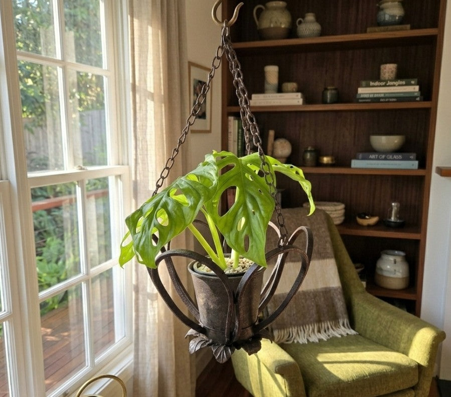 Metal hanging planter holds 90mm potted plant