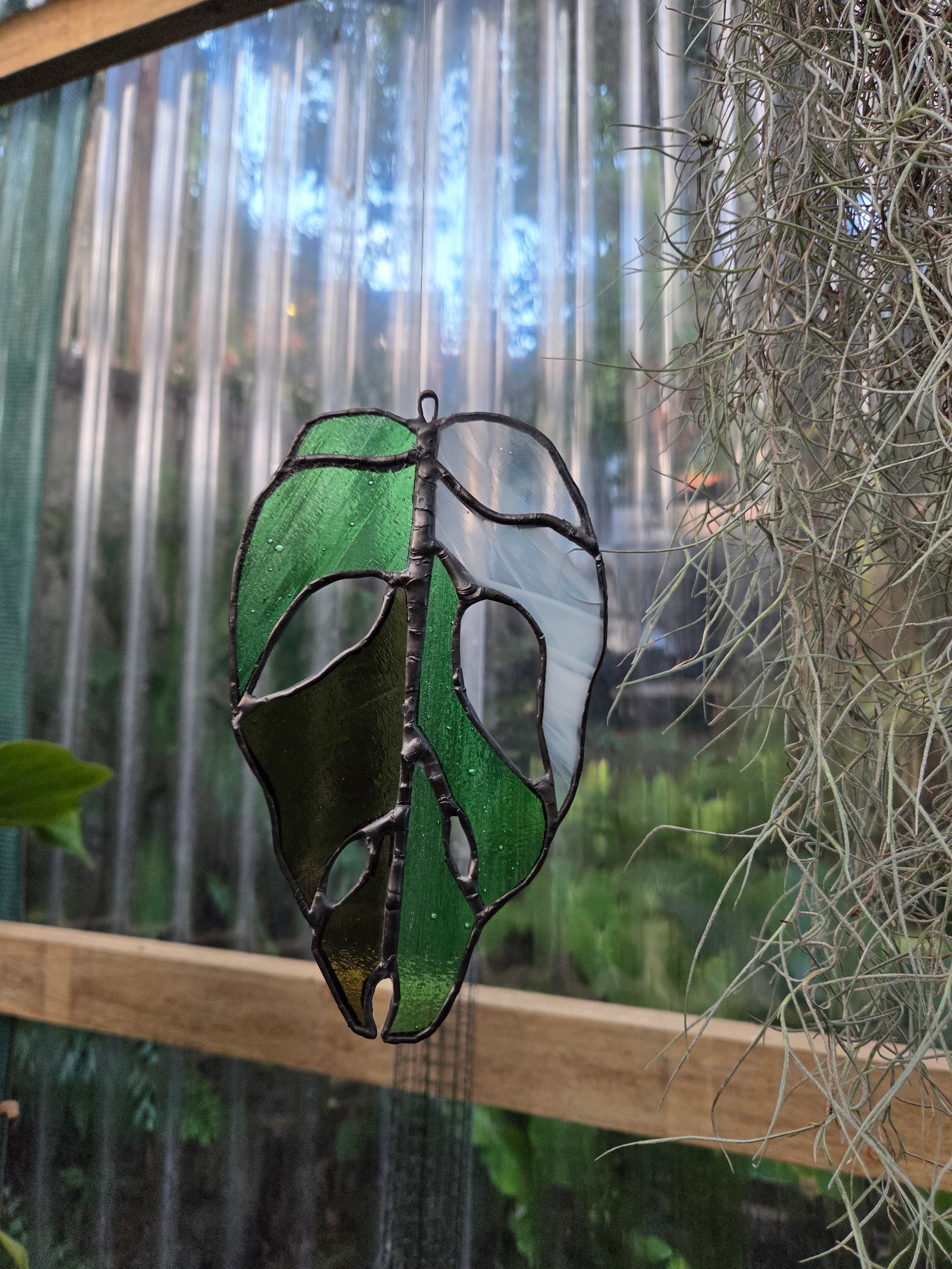 Leadlight / stained glass sun catcher Variegated Monstera adansonii leaf handcrafted one off piece