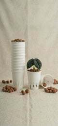 Hydroponic grow pots 60mm slotted grow pots