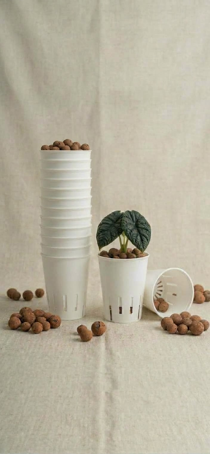 Hydroponic grow pots 60mm slotted grow pots