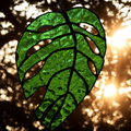 Handcrafted leadlight glass sun catcher monstera leaf 🍃