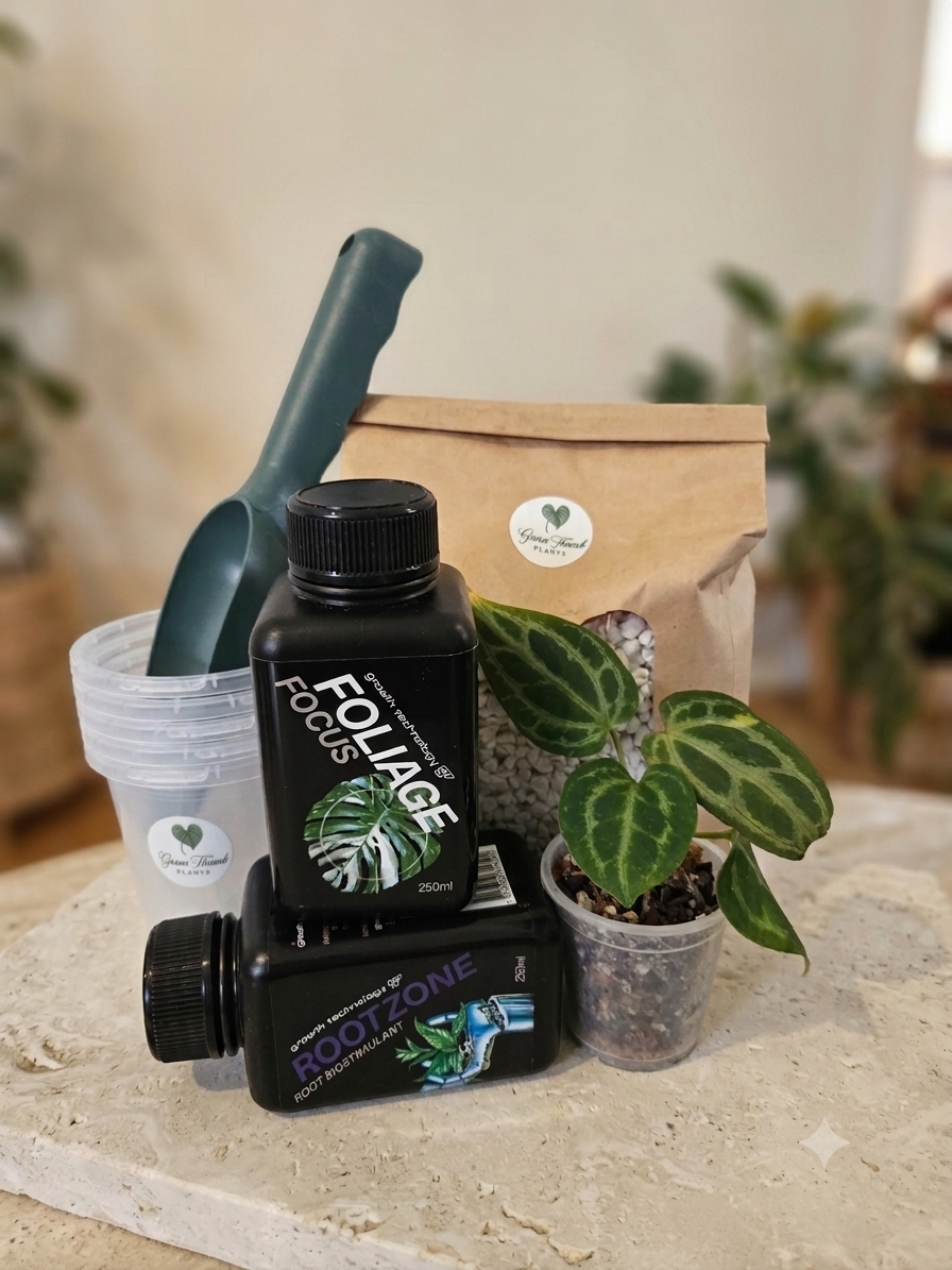 The ULTIMATE Plant Parents Starter Kit - Anthurium